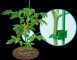 Хомут садовый пластиковый многоразовый 13 см (зелёный) - по 50 шт. в упак.